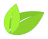 Feuille du logo